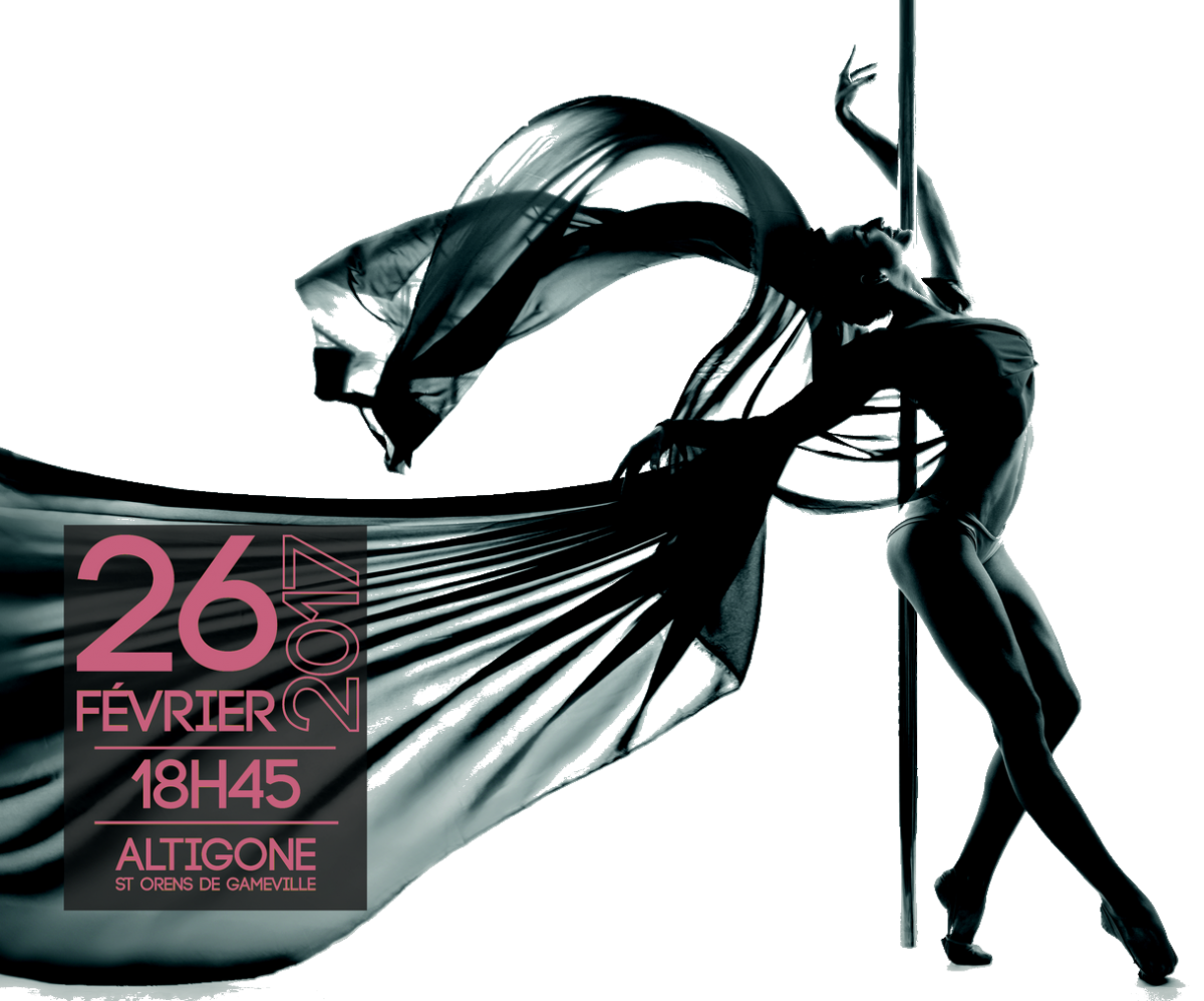Spectacle pole dance 2017